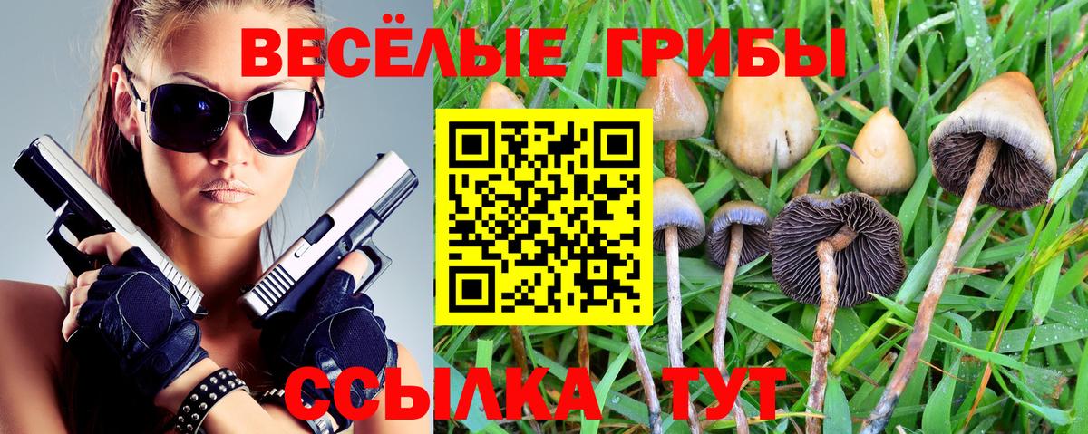 Псилоцибиновые грибы мухоморы Владивосток